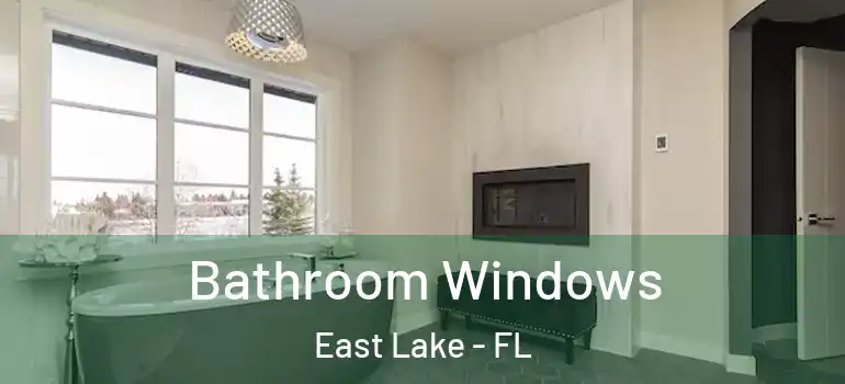  Bathroom Windows East Lake - FL