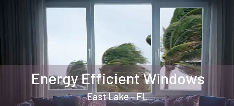  Energy Efficient Windows East Lake - FL