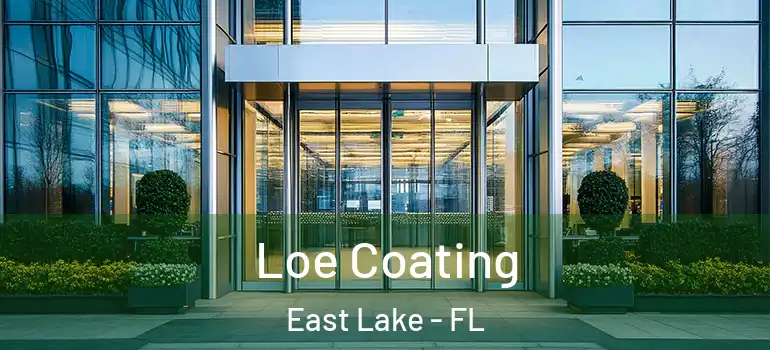  Loe Coating East Lake - FL