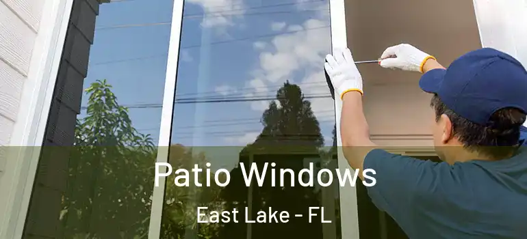  Patio Windows East Lake - FL