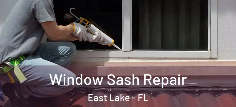  Window Sash Repair East Lake - FL