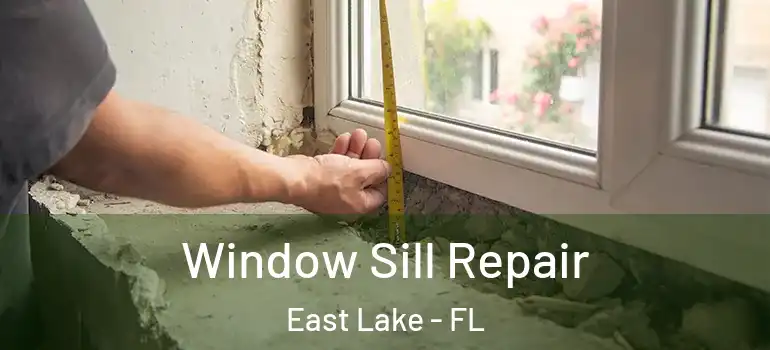  Window Sill Repair East Lake - FL